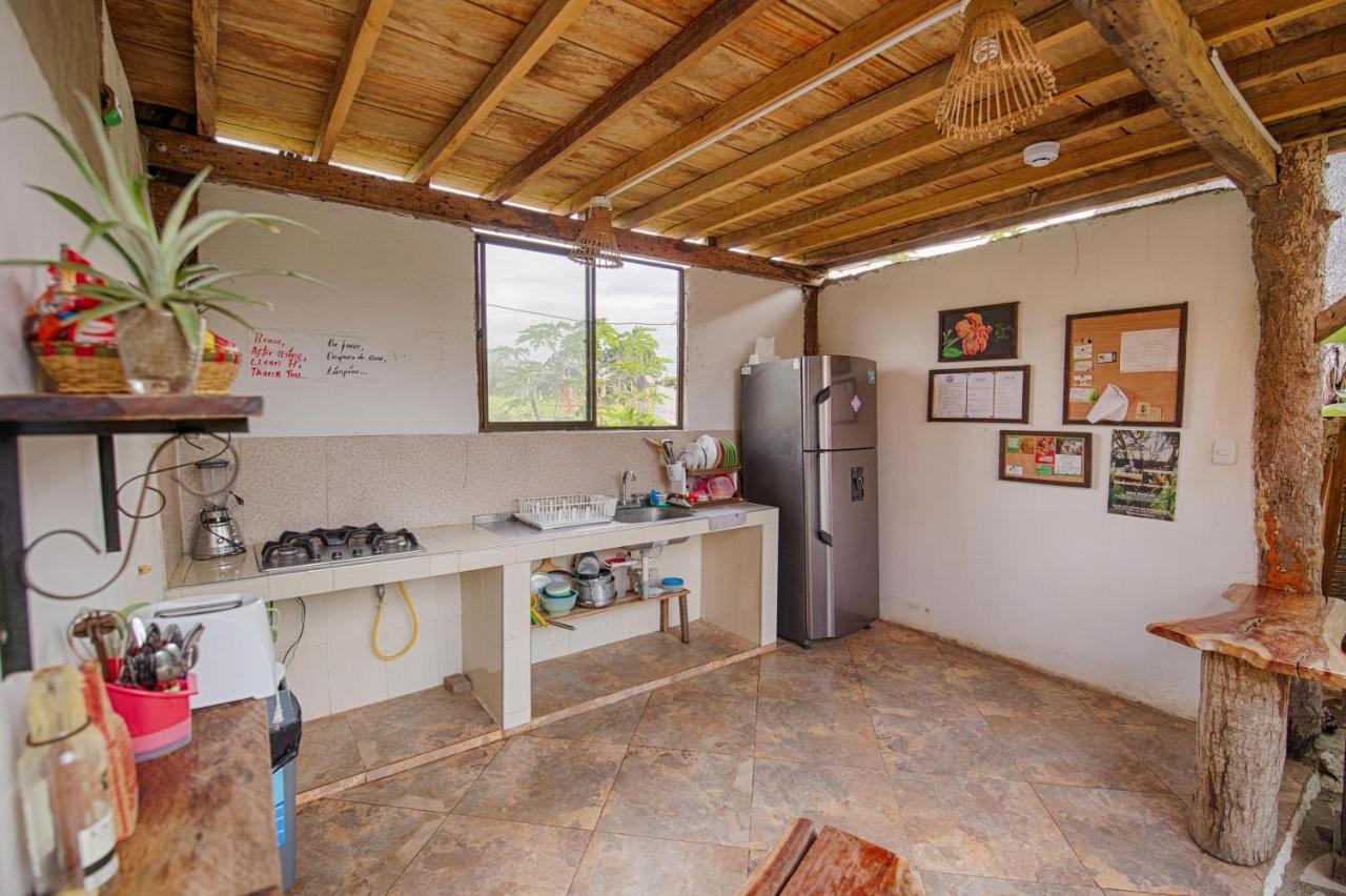 Bella Flor Hostel Palomino Ngoại thất bức ảnh