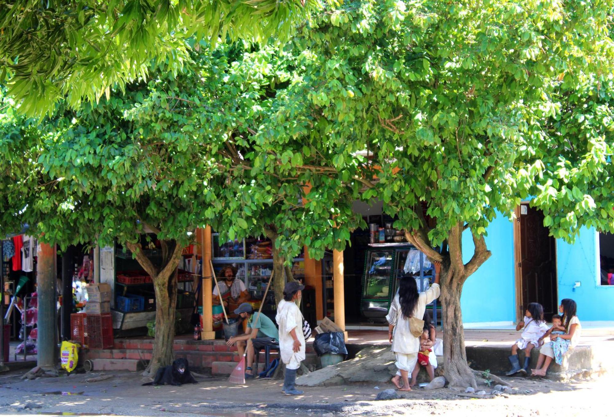 Bella Flor Hostel Palomino Ngoại thất bức ảnh