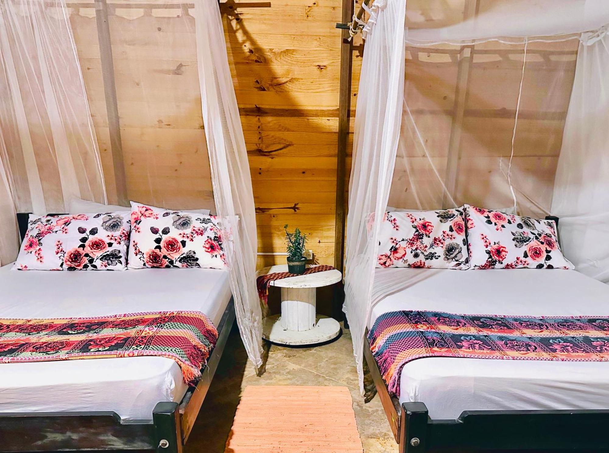 Bella Flor Hostel Palomino Ngoại thất bức ảnh