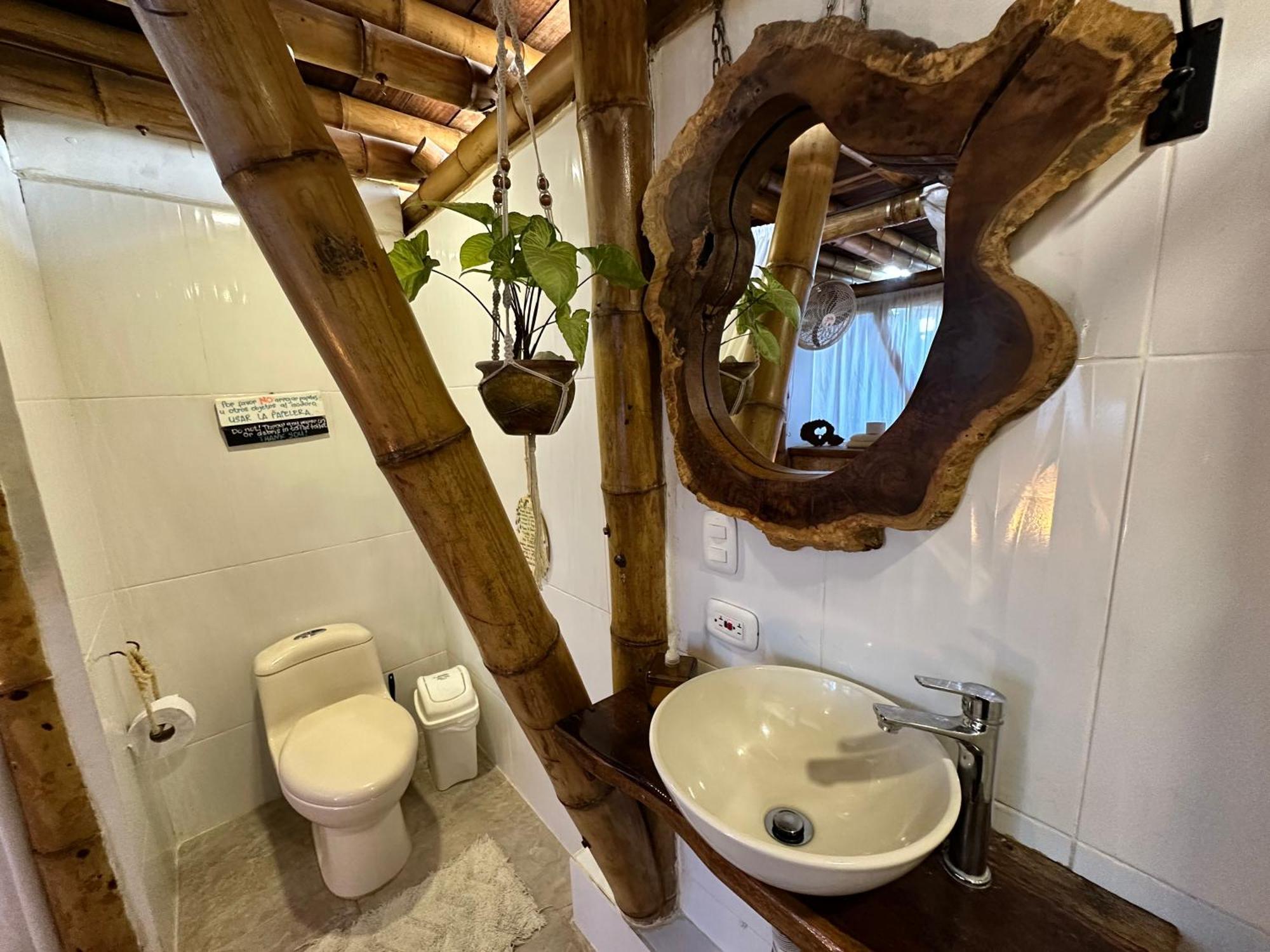 Bella Flor Hostel Palomino Ngoại thất bức ảnh